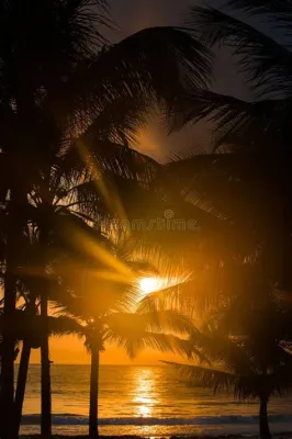   Zanzibar Sunrise - A Symphony of Gold and Ephemeral Light 